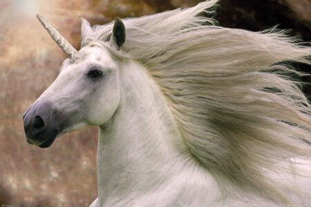 Постер Bob Langrish - Unicorn 61х91.5 см