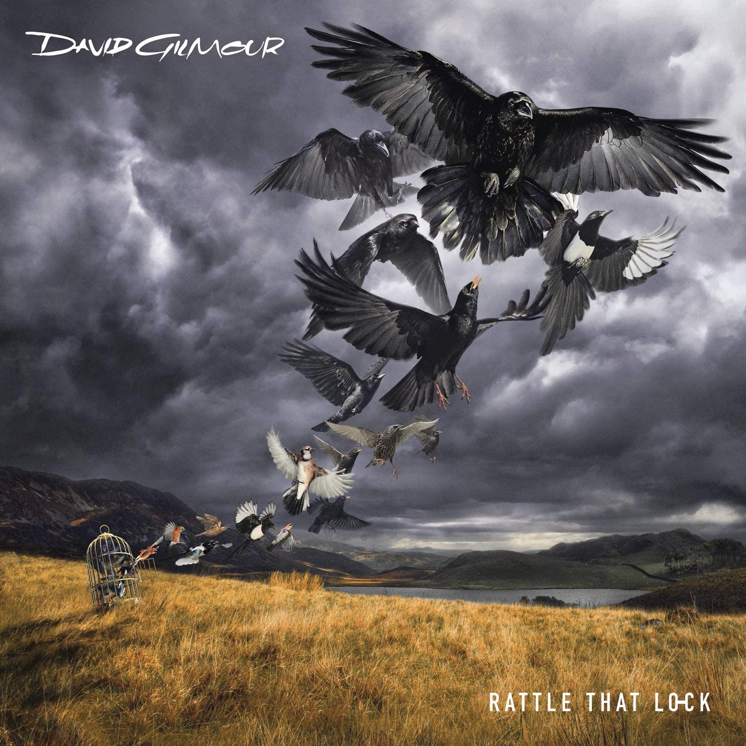 David Gilmour. Rattle That Lock (LP)