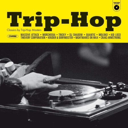 Various Artists. Trip-Hop (Classics By Trip-Hop Masters) (LP)