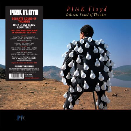Pink Floyd. Delicate Sound Of Thunder (2LP)