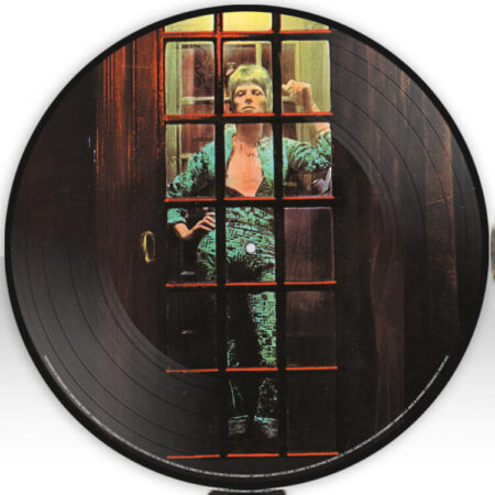 David Bowie. The Rise And Fall Of Ziggy Stardust And The Spiders From Mars  (50th Anniversary Picture Disc) (LP)