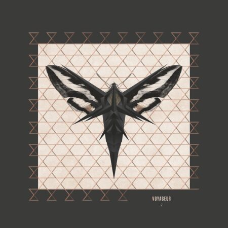 Enigma. Voyageur (LP) 180g