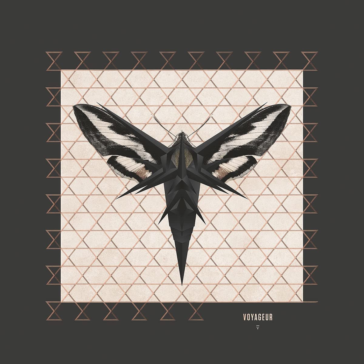 Enigma. Voyageur (LP) 180g