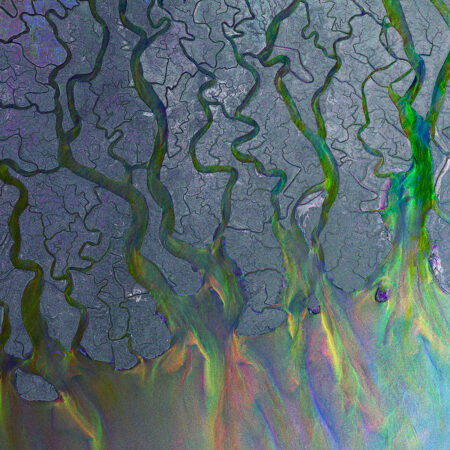 alt-J. An Awesome Wave (LP) Fern Green, Limited Edition