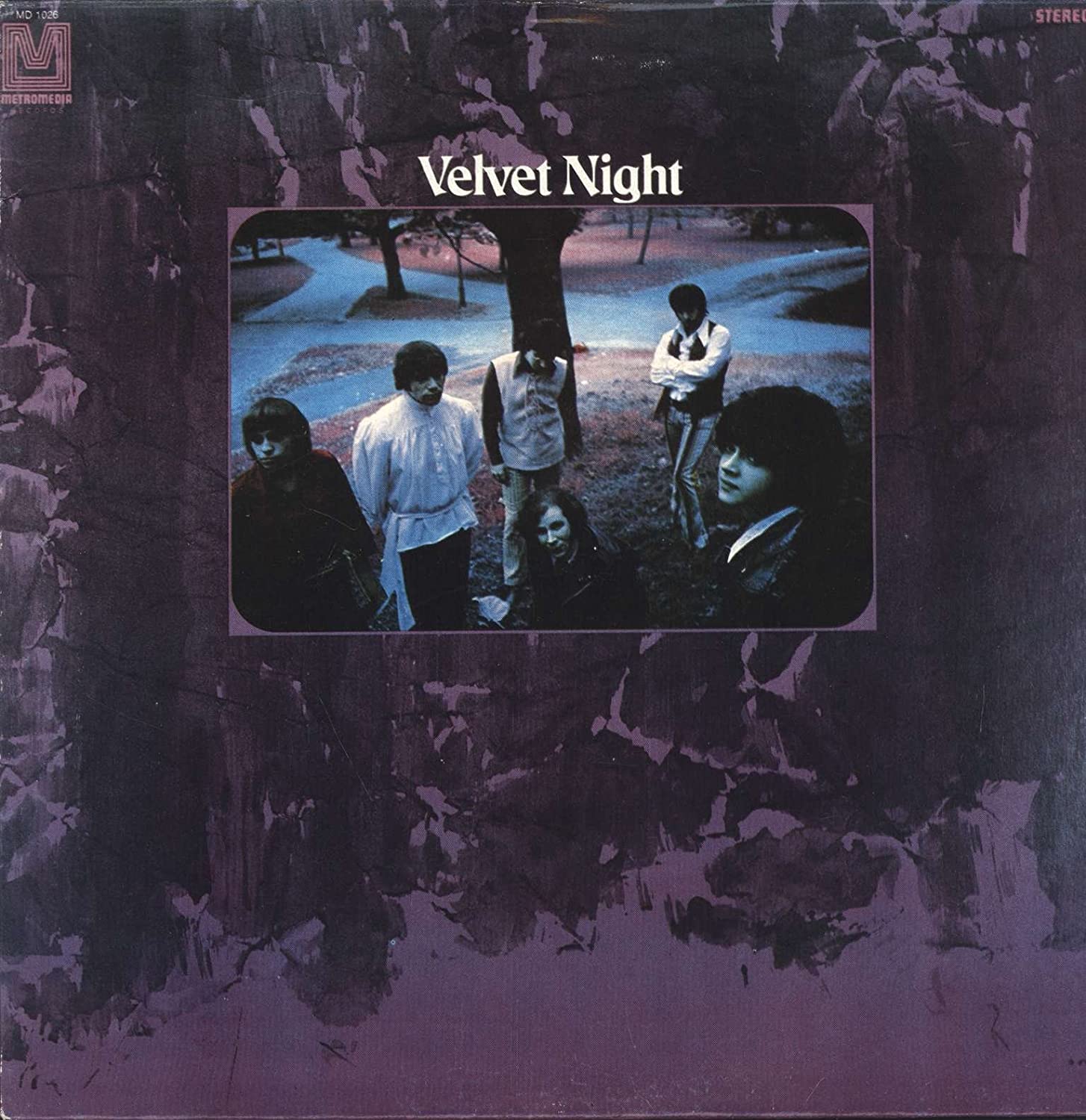 Velvet Night. Velvet Night (LP) Violet